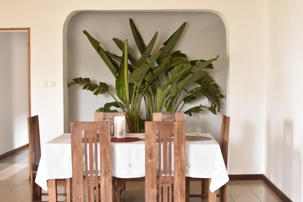 Villa Paisible Proche Des Rizieres 塔那那利佛 外观 照片