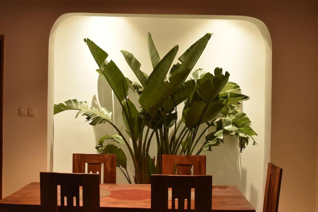 Villa Paisible Proche Des Rizieres 塔那那利佛 外观 照片